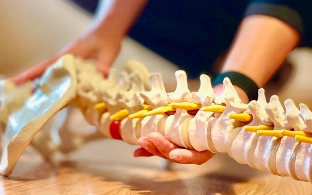 fitpilates-lesiones-inmagen-modulo-1